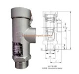 Van an toàn chịu lạnh DN25 - 2.4Mpa